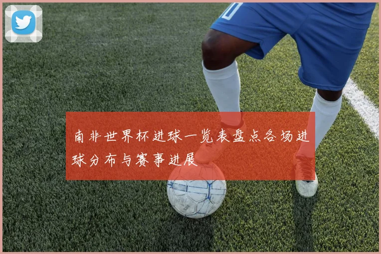 南非世界杯进球一览表盘点各场进球分布与赛事进展