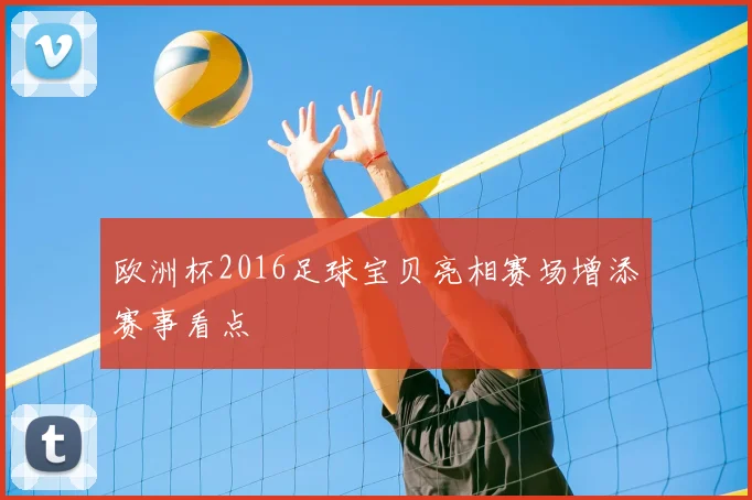 欧洲杯2016足球宝贝亮相赛场增添赛事看点