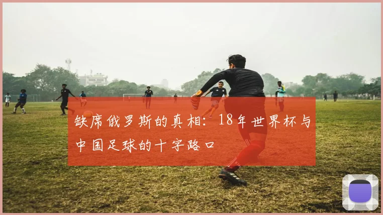 缺席俄罗斯的真相：18年世界杯与中国足球的十字路口