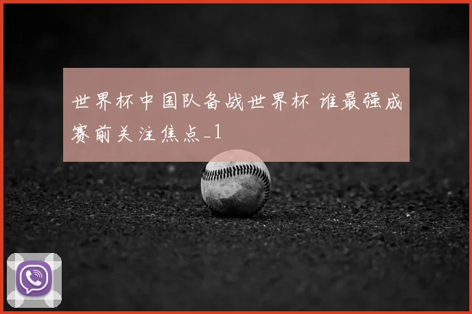 世界杯中国队备战世界杯 谁最强成赛前关注焦点_1