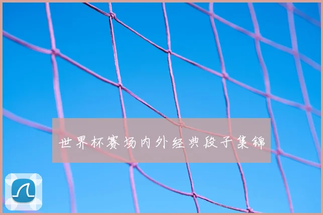 世界杯赛场内外经典段子集锦