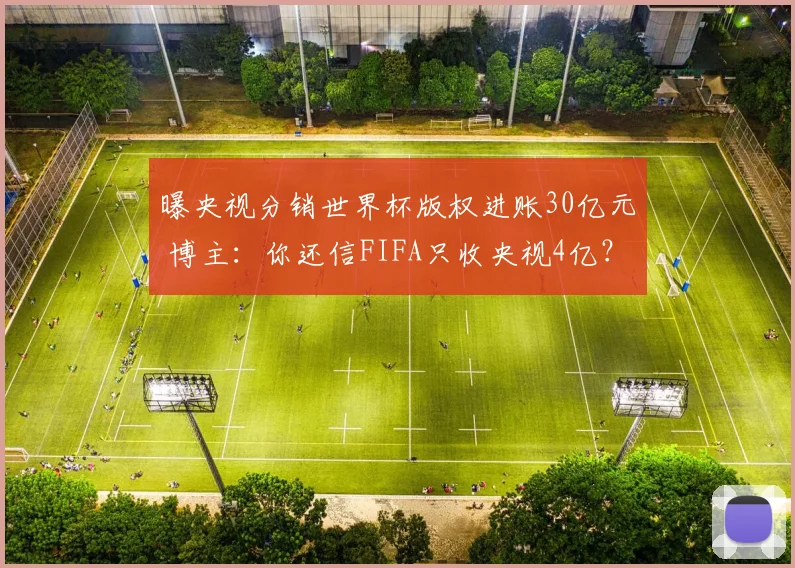 曝央视分销世界杯版权进账30亿元 博主:你还信FIFA只收央视4亿?